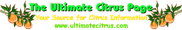 The Ultimate Citrus Page