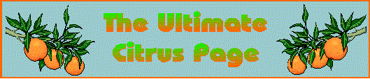 The Ultimate Citrus Page Old Logo