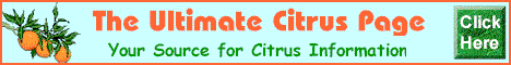 The Ultimate Citrus Page